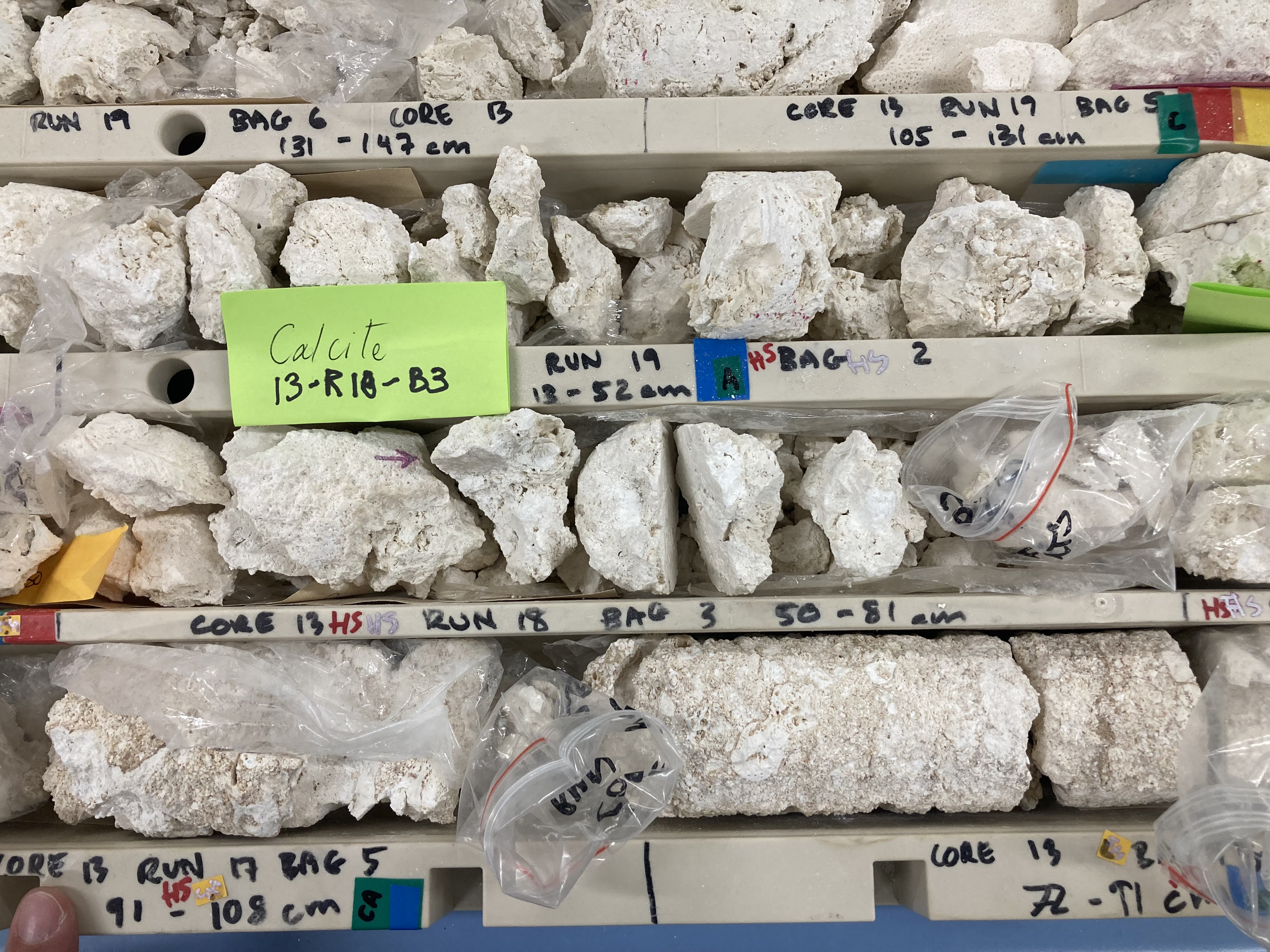 Coral core and slab used as paleoclimate archive