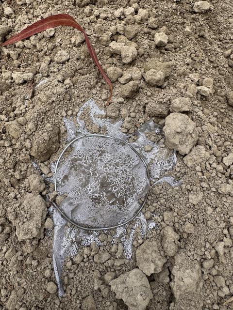 Soil respiration experiment — field setup and measurements