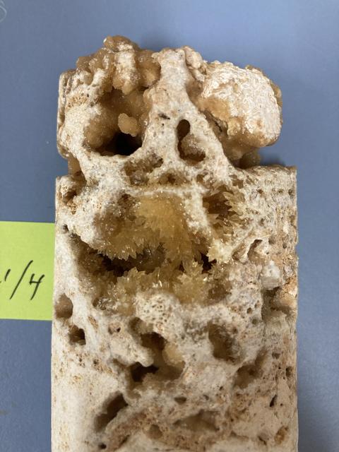 Altered fossil coral showing meteoric calcite