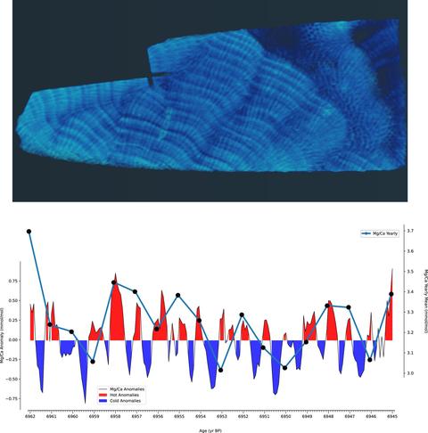 Mid-Holocene coral slabs and laser sampling, Heron Reef