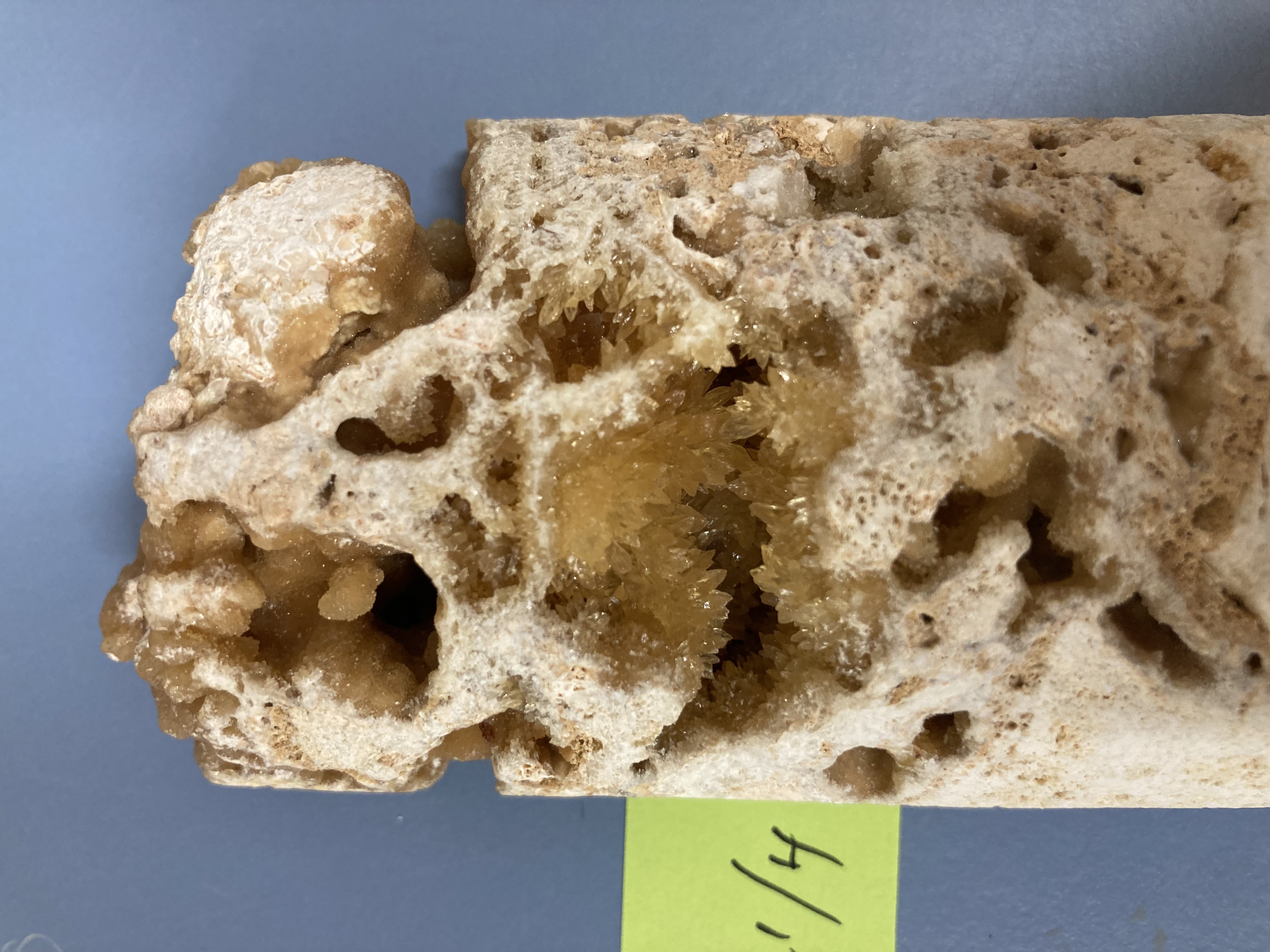 Microsampling meteoric calcite in altered coral