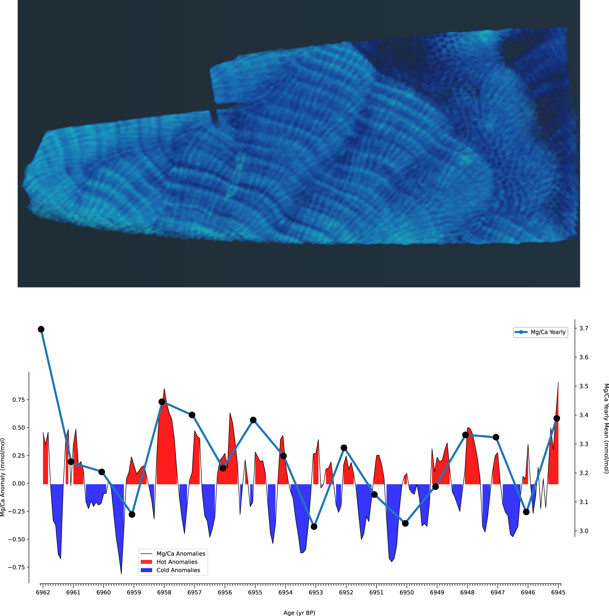 Mid-Holocene coral slabs and laser sampling, Heron Reef